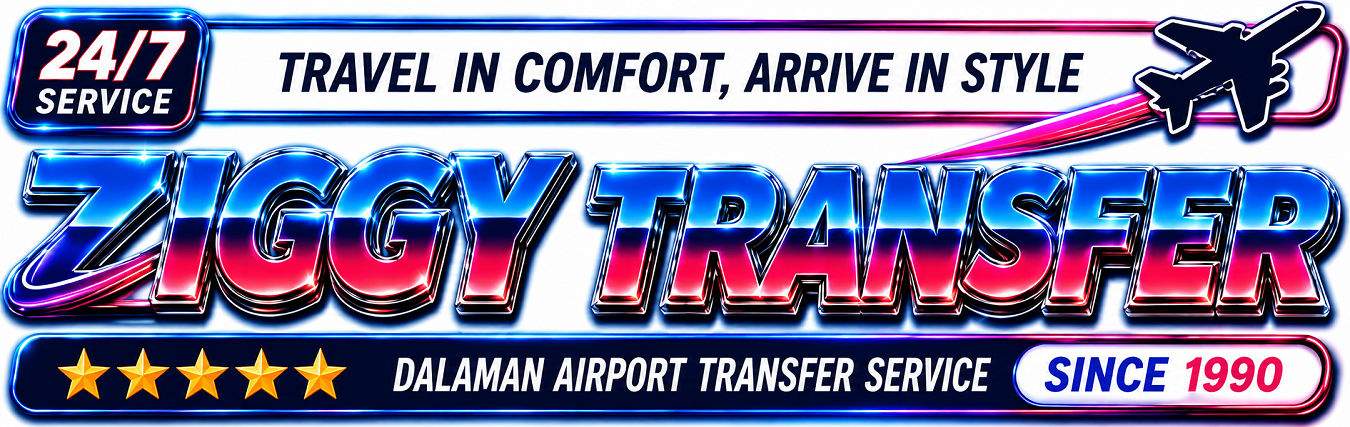 Ziggy Transfer